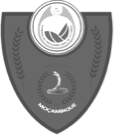 FMF - Mozambique Football Federation 